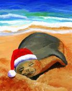 seal lion animal paint by numbers