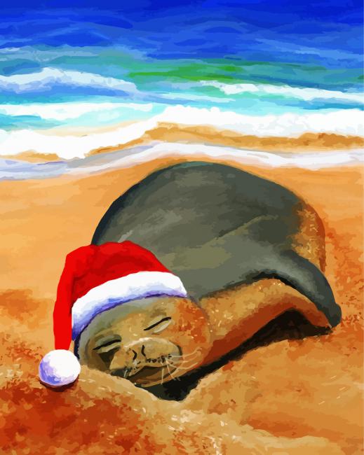 seal lion animal paint by numbers