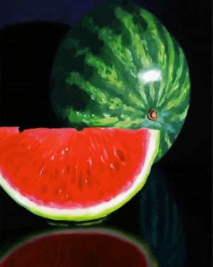 aesthetci watermelon paint by numbers