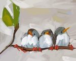 Cute Birds paint by numbers
