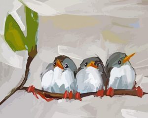Cute Birds paint by numbers