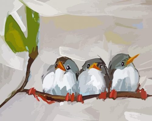 Cute Birds paint by numbers
