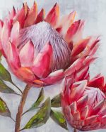 Pink Protea paint by numbers