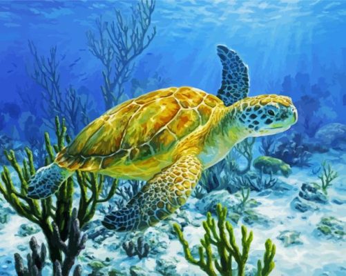 Sea Turtle paint by nnumbers