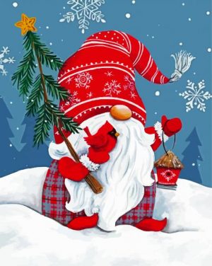 Snowy Gnome With Cradinal paint by numbers