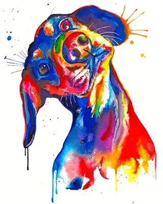 Splatter Dachshund Dog paint by numbers