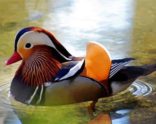 Waterfowl Bird paint by numbers