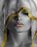 Monochrome Lady With Veil paint by numbers