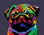 Colorful Pug Dog paint by numbers