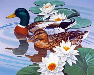 Waterfowl And Lotus panels paint by numbers