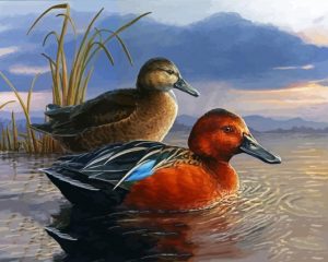 Waterfowl Bird Illustration panels paint by numbers
