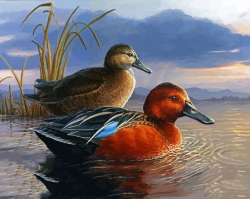 Waterfowl Bird Illustration panels paint by numbers