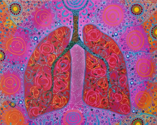 Aboriginal Lung Art paint by numbers
