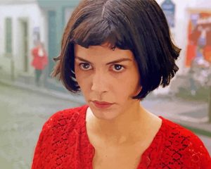 Amelie paint by numbers