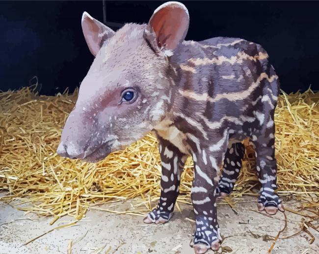 Baby Tapir paint by numbers