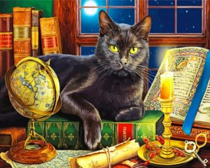 Beautiful Black Cat With Candle Paint by numbers