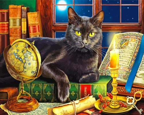Beautiful Black Cat With Candle Paint by numbers