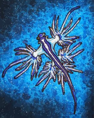 Blue Glaucus Nudibranch Paint by numbers