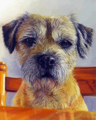 Border-terrier paint by numbers