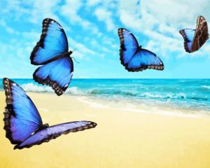 Butterflies on the beach paint by numbers