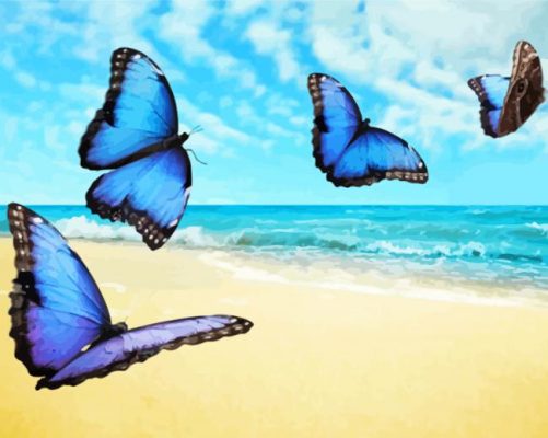 Butterflies on the beach paint by numbers