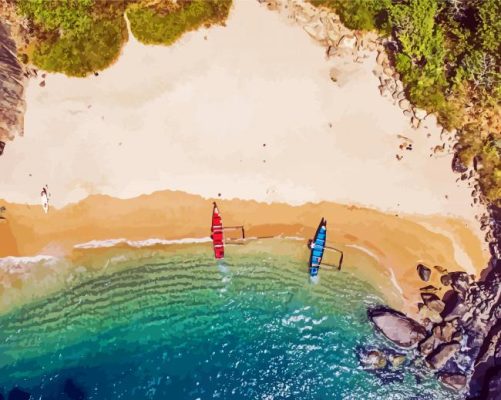 Butterfly beach india paint by number