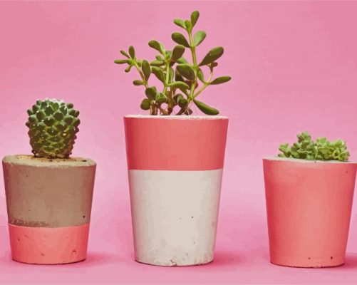 Cactus Pink Pots paint by numbers