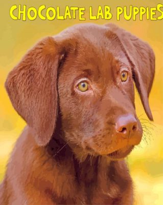 Chocolate Lab paint by numbers