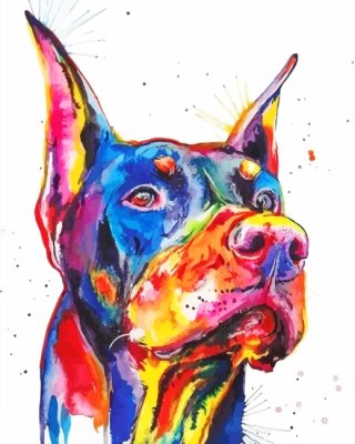 Colorful Doberman Head paint by numbers