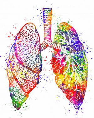 Colorful Lungs paint by numbers