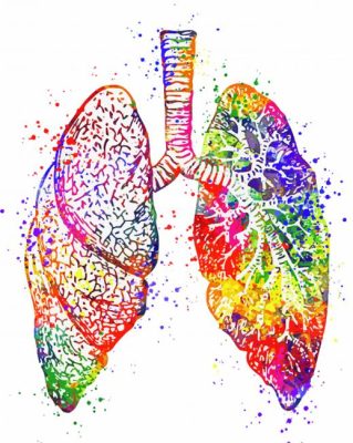 Colorful Lungs paint by numbers