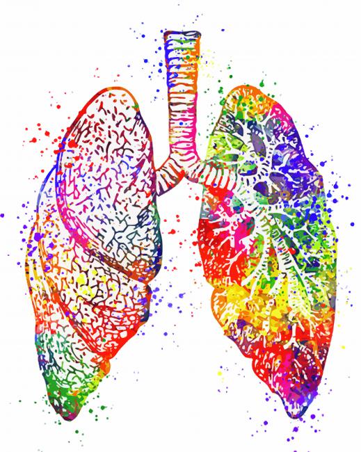 Colorful Lungs paint by numbers
