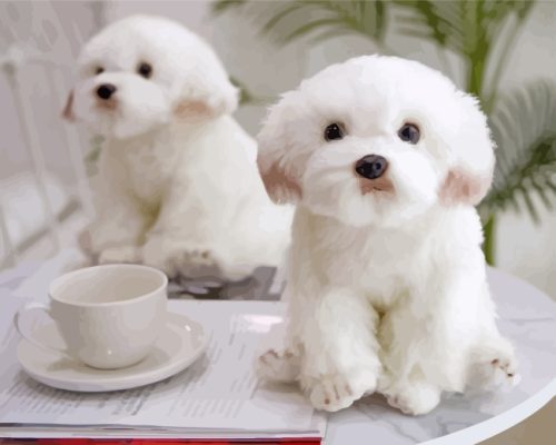 Cute Maltese paint by numbers