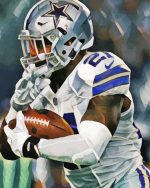 Dallas Cowboys American Football Player paint by numbers