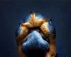 Dog paw paint by number