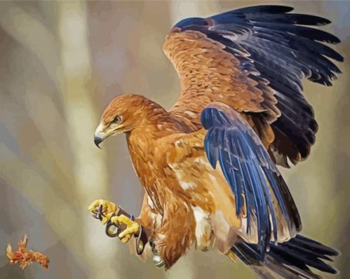 Eagle Hunting Paint by numbers