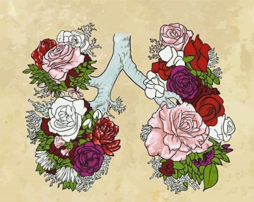 Floral Lungs paint by numbers