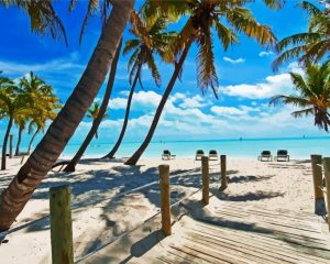 Florida Keys Landscape paint by numbers