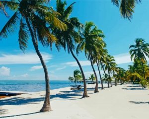 Florida Keys paint by numbers