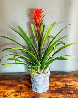 Guzmania Bromeliad Plant Pot Paint by numbers