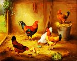 Hens and chicks in the farm paint by number