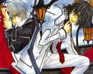 Kaname Kuran And Zero Kiryu Vampire Knight Paint by number