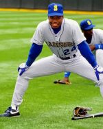 Ken Griffey jr paint by numbers