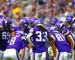Minnesota Vikings Team paint by numbers