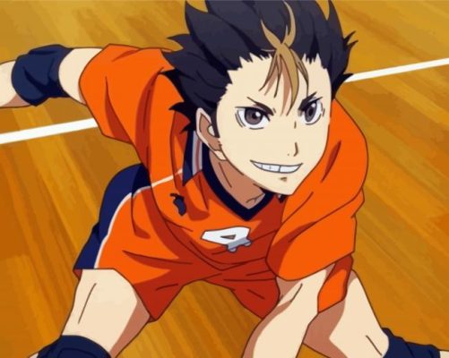 Nishinoya Haikyuu Manga paint by numbers