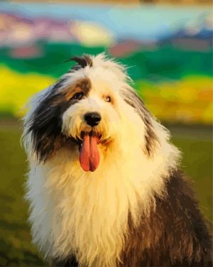 Cute Old English Sheepdog paint by numbers