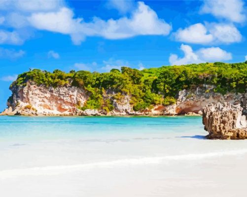 Playa Macao Dominican Republic paint by numbers 