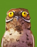 Potoo Illustration paint by number