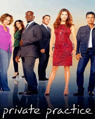 Private Practice Serie paint by numbers