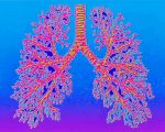 Psychedelic Lungs Paint by numbers